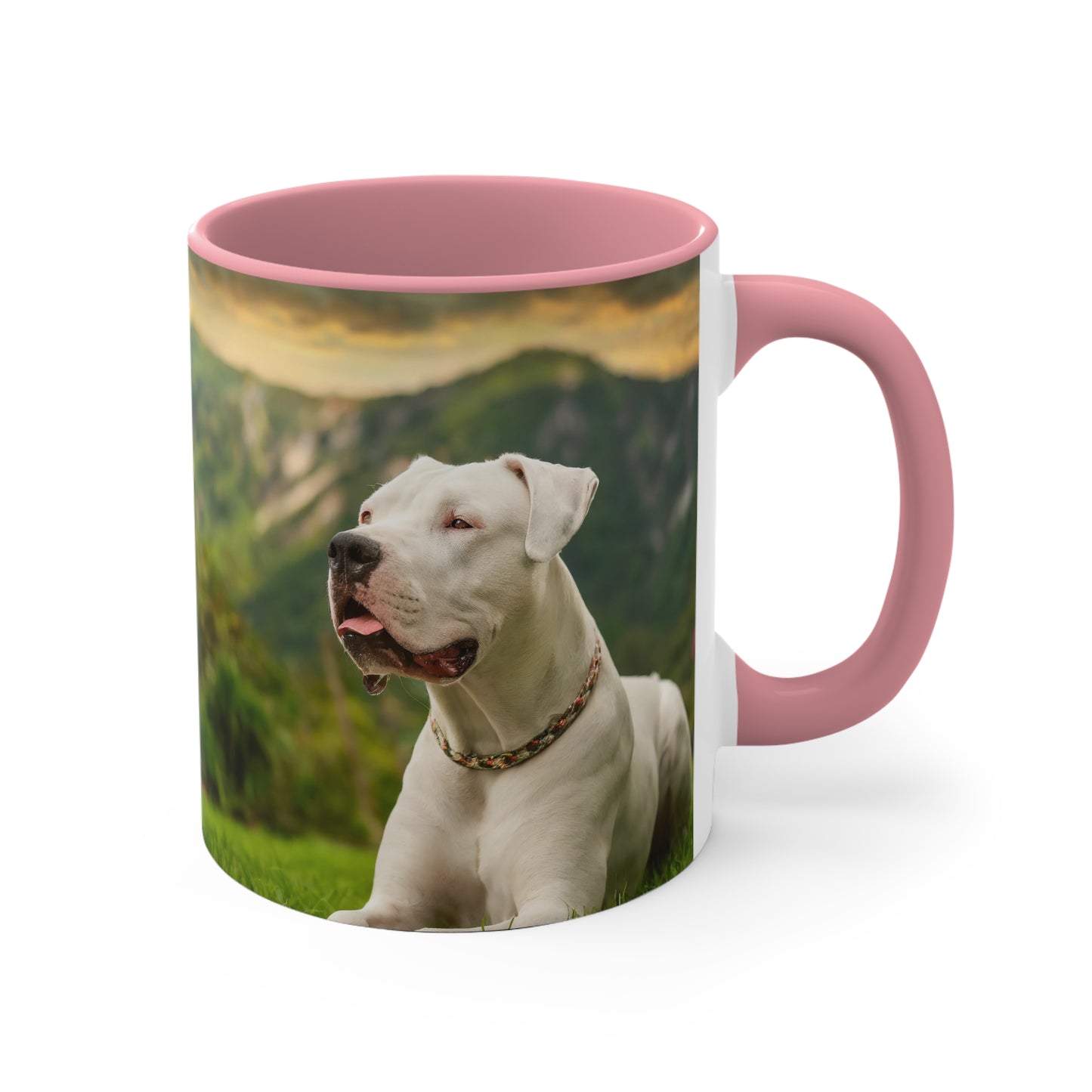 Dogo Argentino 11oz Ceramic Accent Mug