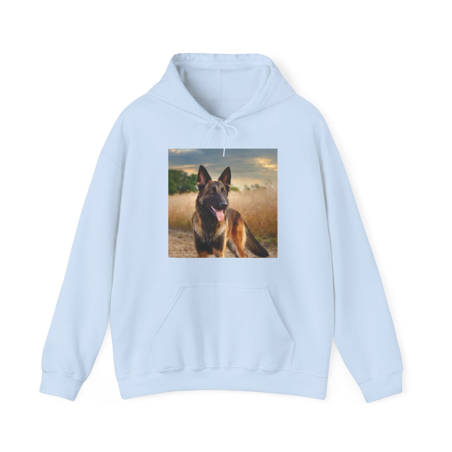Regal Blend 50/50 Hooded Sweatshirt