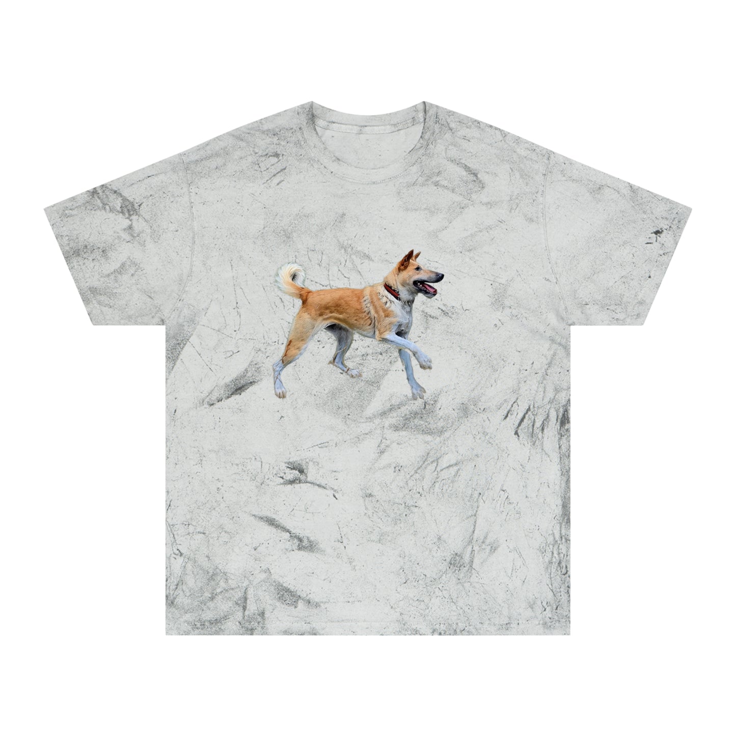 Korean Jindo Unisex Color Blast T-Shirt