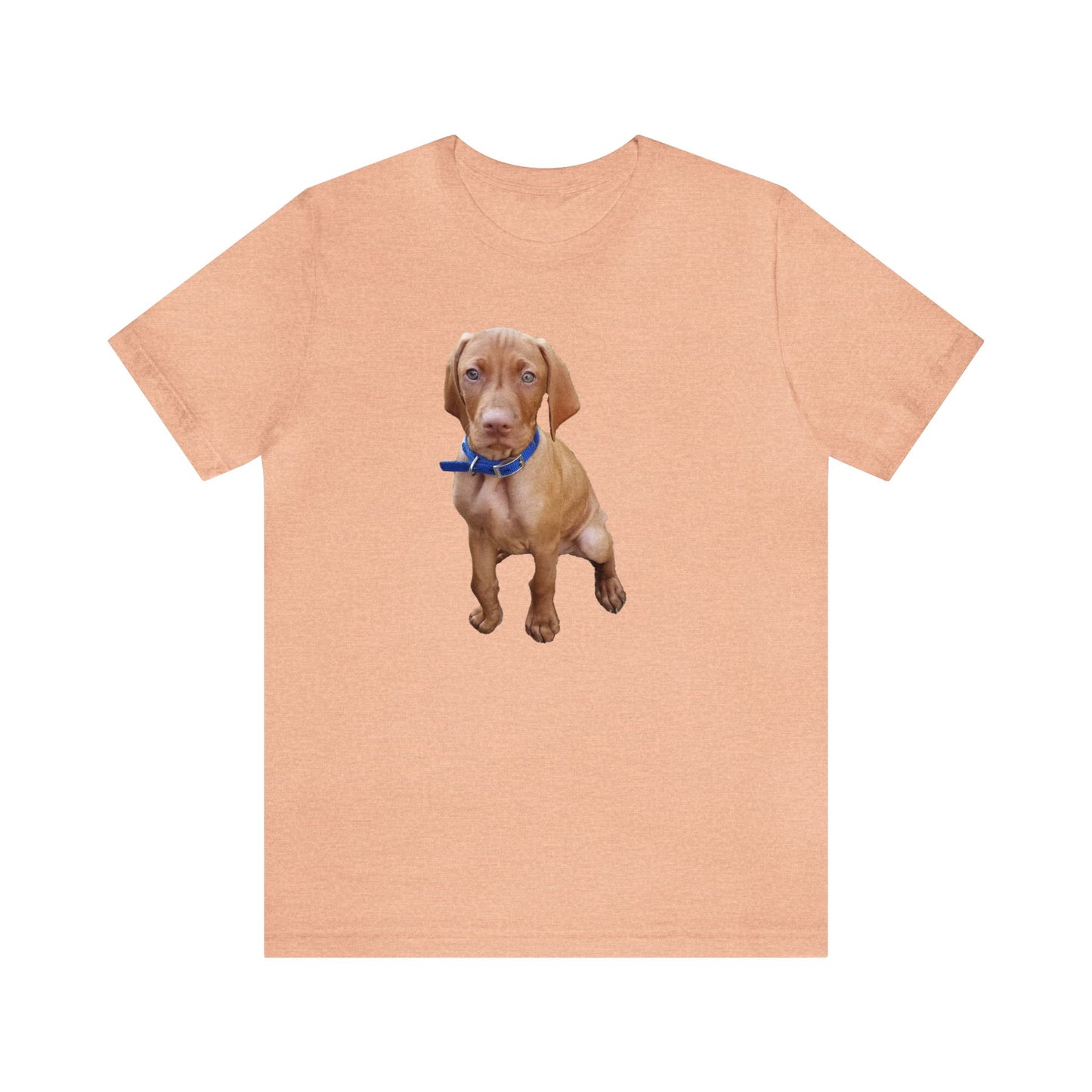 Vizsla 'Augie' - Classic Jersey Short Sleeve Tee