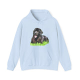 Newfoundland 'Madden' Unisex 50/50 Hoodie