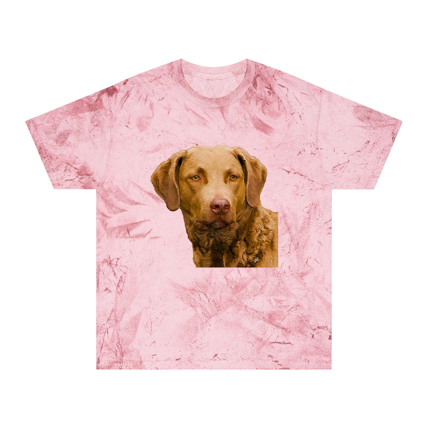 Chesapeake Bay Retriever Classic Color Blast T-Shirt