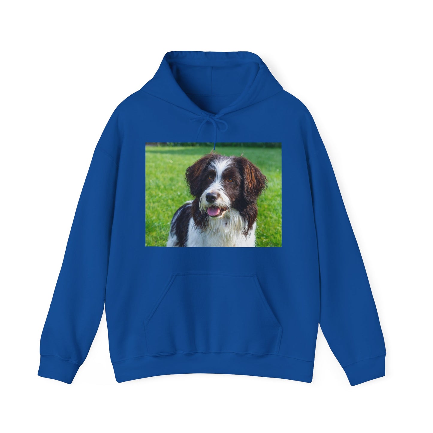 Drentsche Patrijshond Classic 50/50 Hooded Sweatshirt