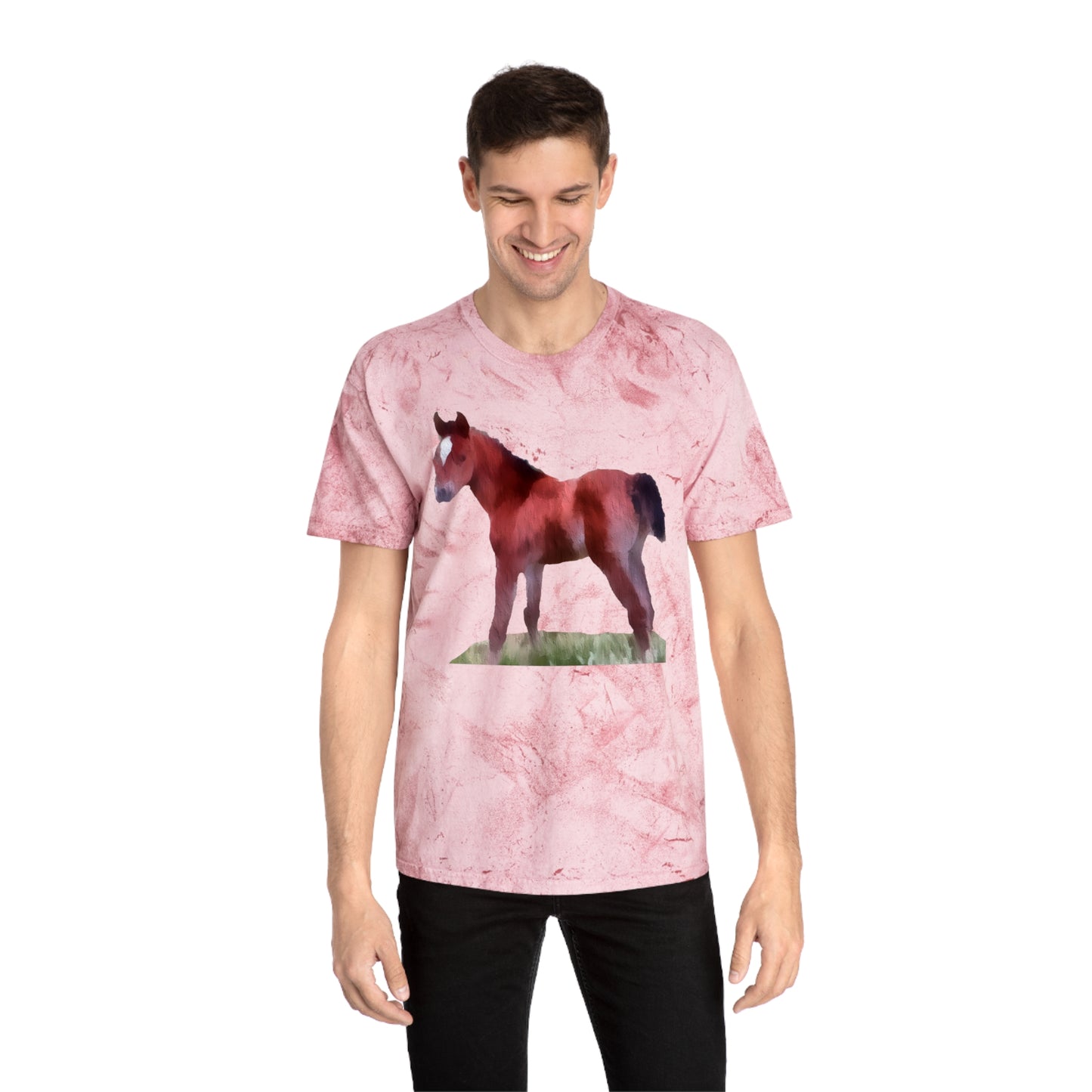Horse 'Contata' Unisex Cotton Color Blast T-Shirt
