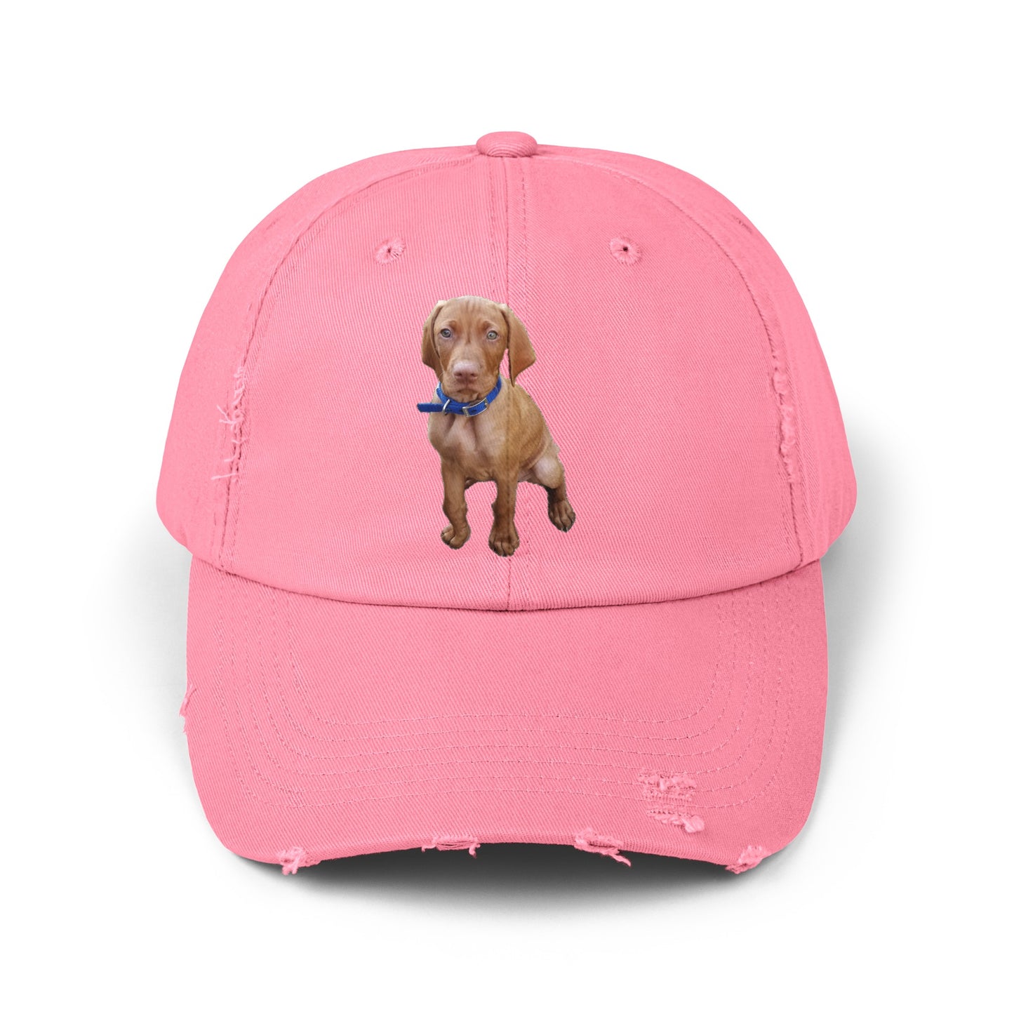 Vizsla Augie Test Unisex Distressed Cap