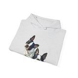 Boston Terriers 'Skipper & Dee Dee' Unisex 50/50 Hoodie