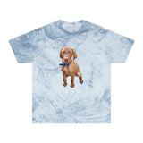 Vizsla 'Augie' Unisex Cotton Color Blast T-Shirt