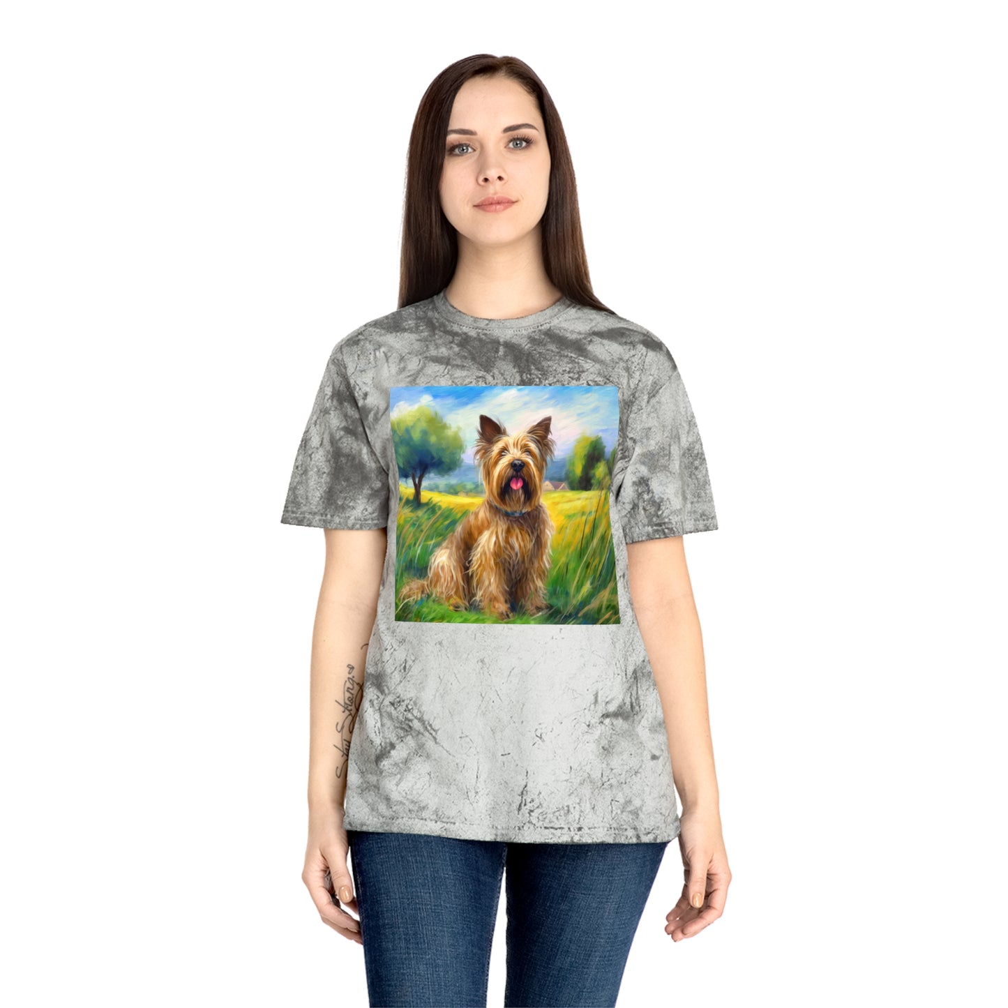 Briard Classic Color Blast T-Shirt