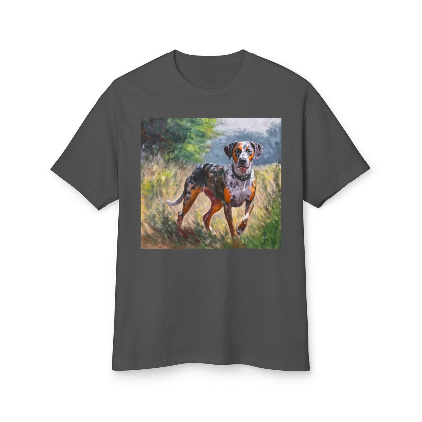 Catahoula Unisex Relaxed Fit Garment-Dyed Heavyweight Cotton Tee