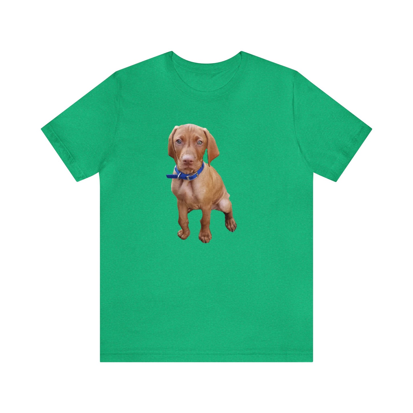 Vizsla 'Augie' - Classic Jersey Short Sleeve Tee