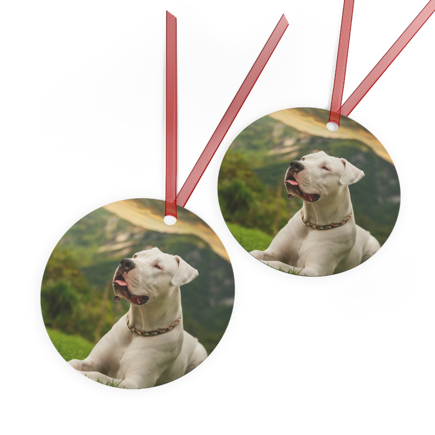 Dogo Argentino Metal Ornaments