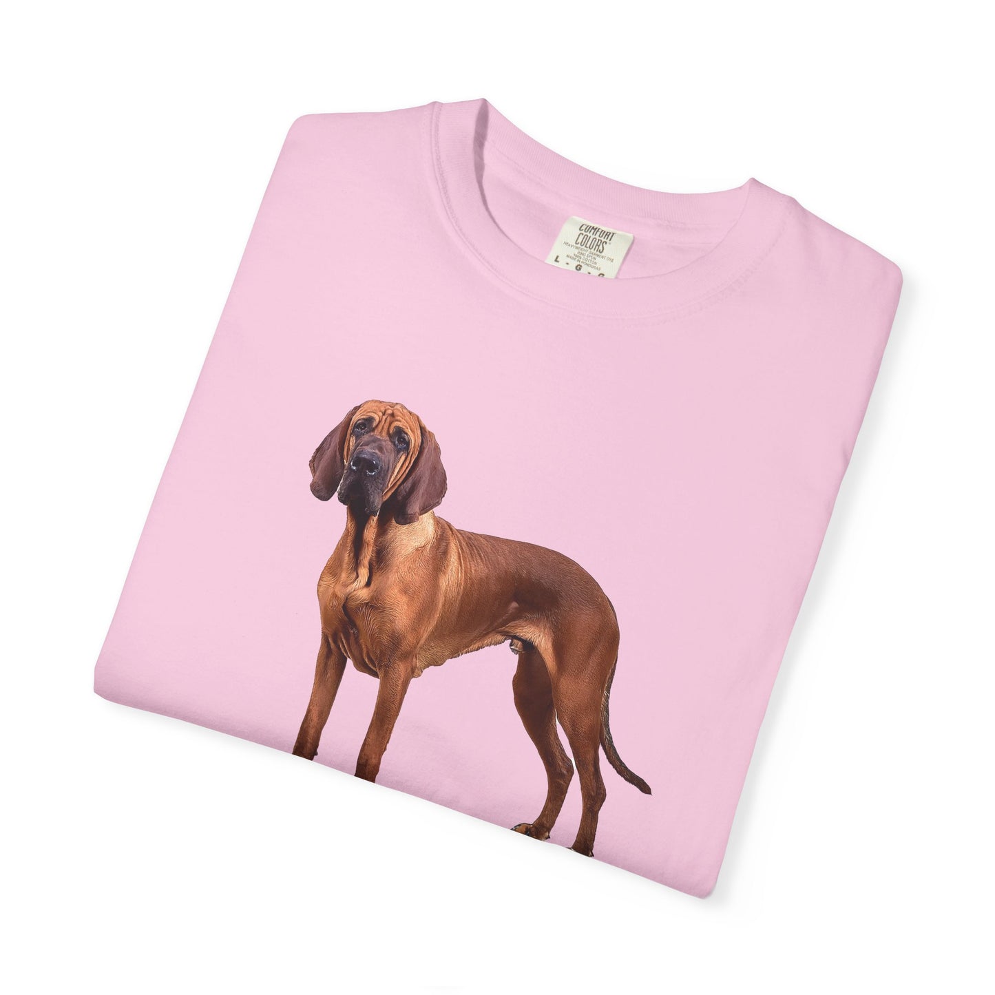 Bloodhound Unisex Relaxed Fit Garment-Dyed T-shirt