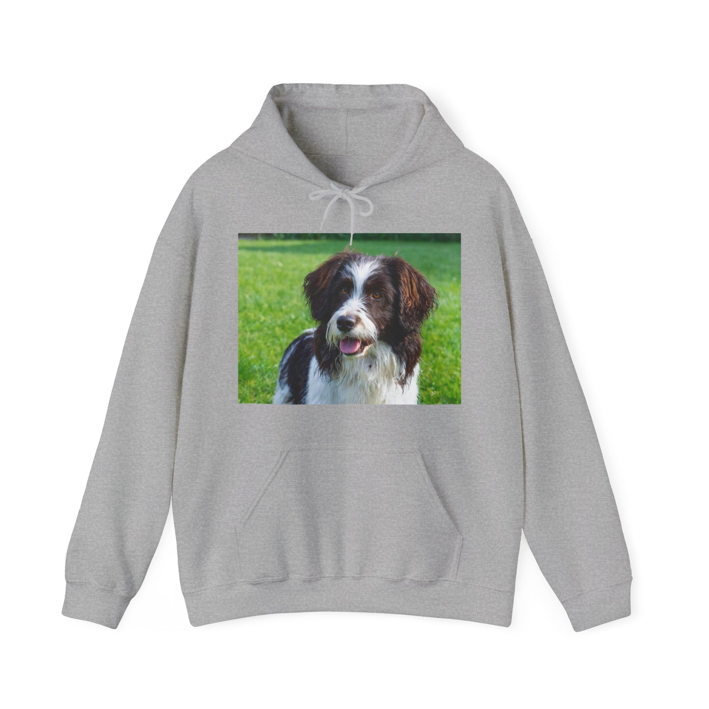 Drentsche Patrijshond Classic 50/50 Hooded Sweatshirt