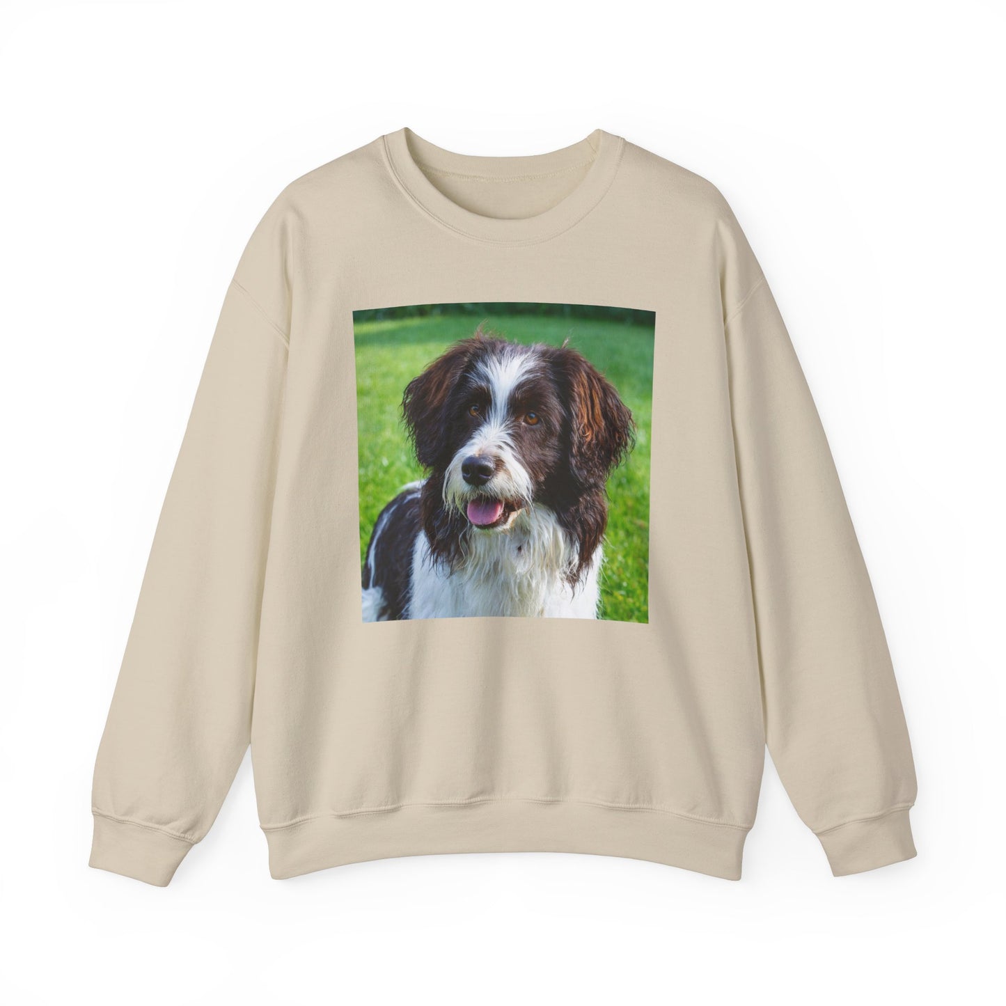 Drentsche Patrijshond Classic 50/50 Crewneck Sweatshirt