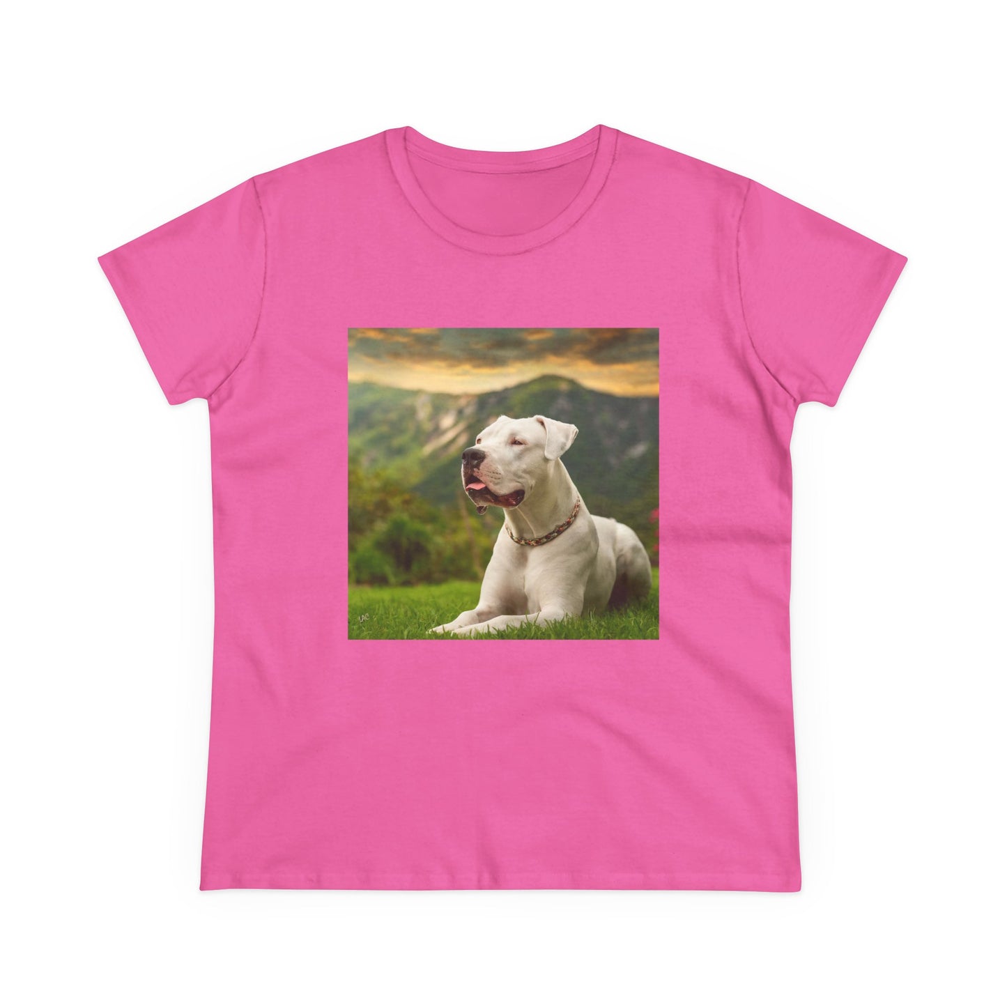 Dogo Argentino Women's Midweight Cotton Tee