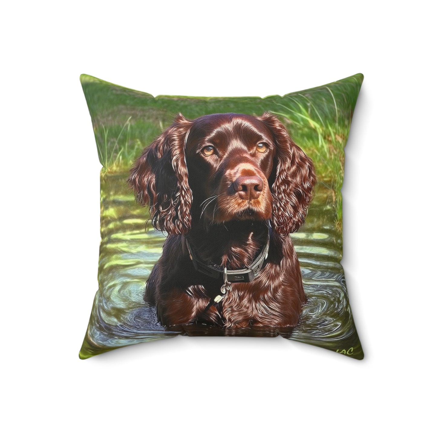 Boykin Spun Polyester Throw Pillow