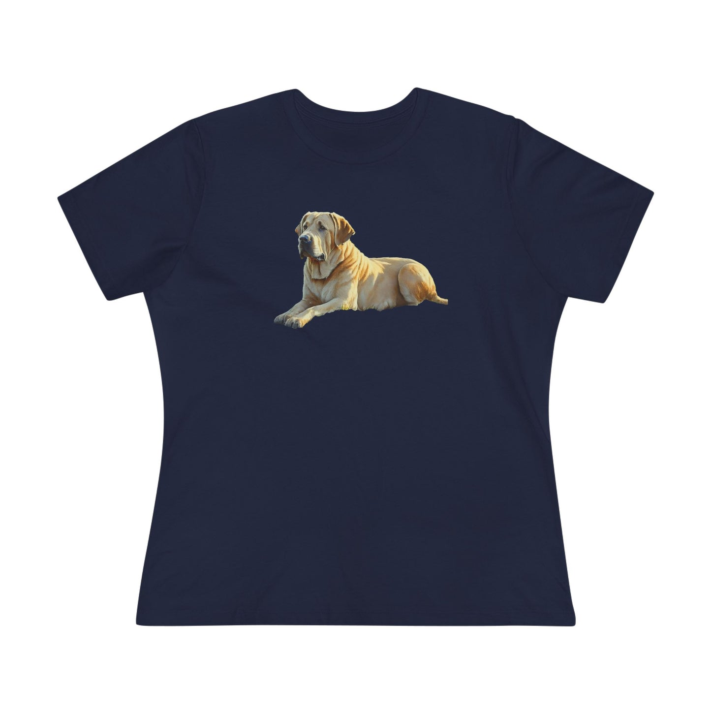 Broholmer Danish Mastiff Women's Relaxed Tee