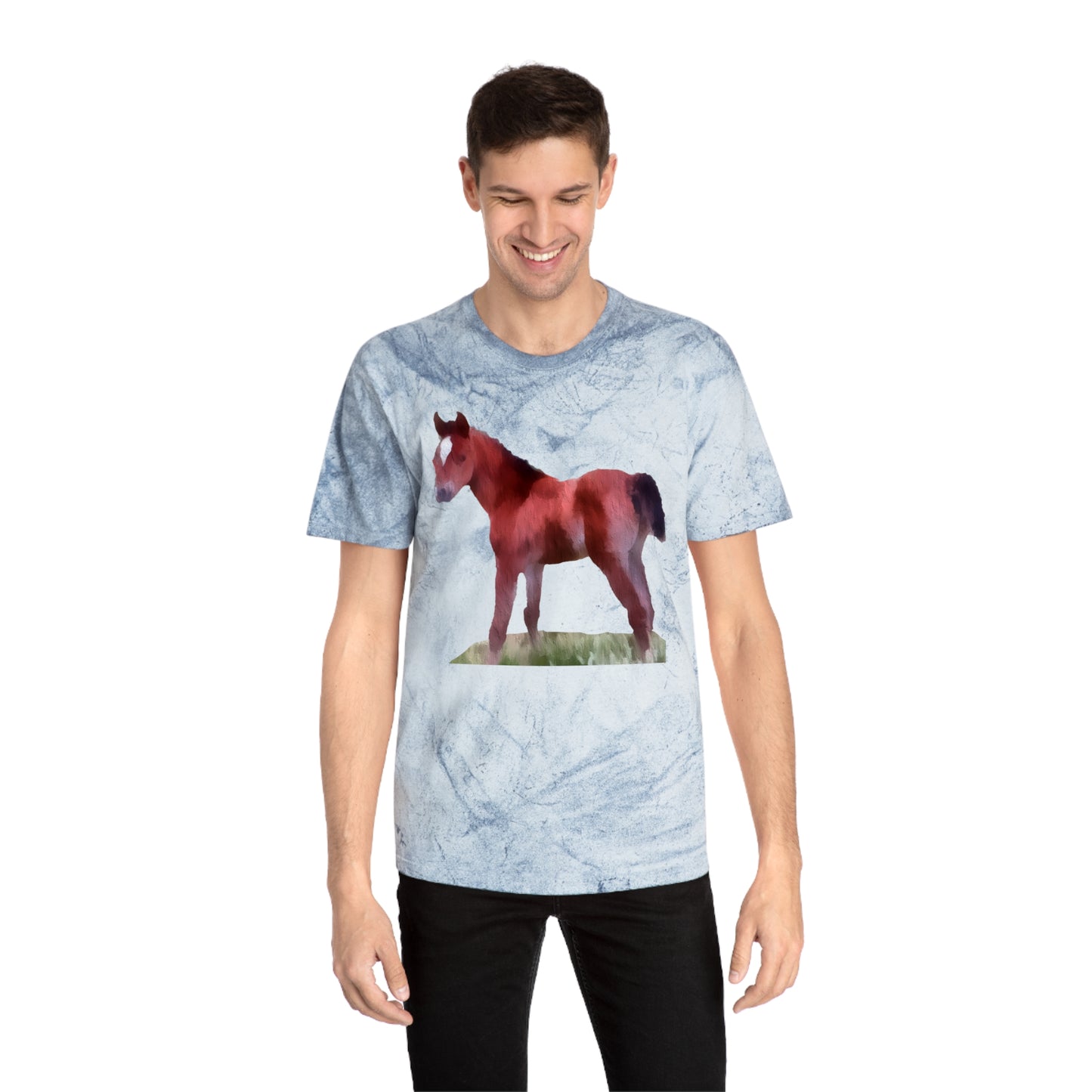Horse 'Contata' Unisex Cotton Color Blast T-Shirt