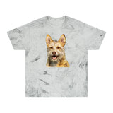 Portuguese Podengo Color Blast T-Shirt