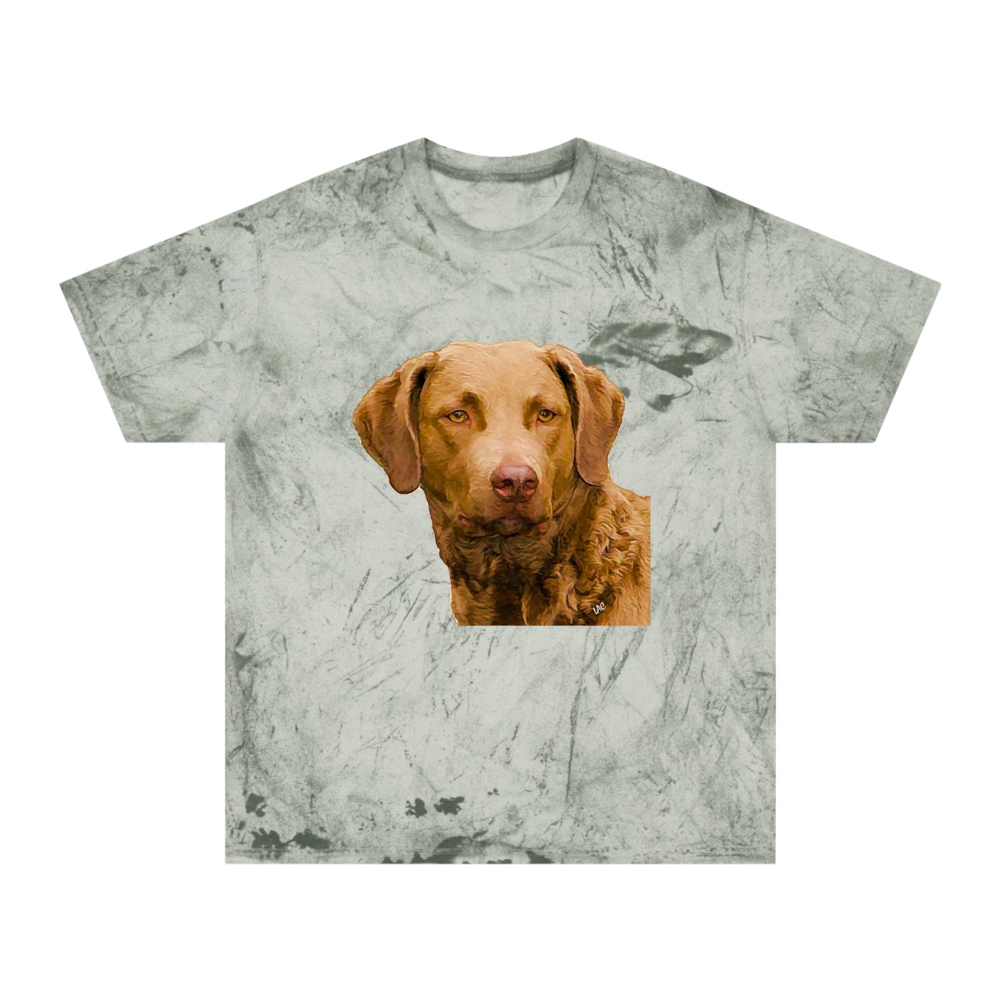 Chesapeake Bay Retriever Classic Color Blast T-Shirt