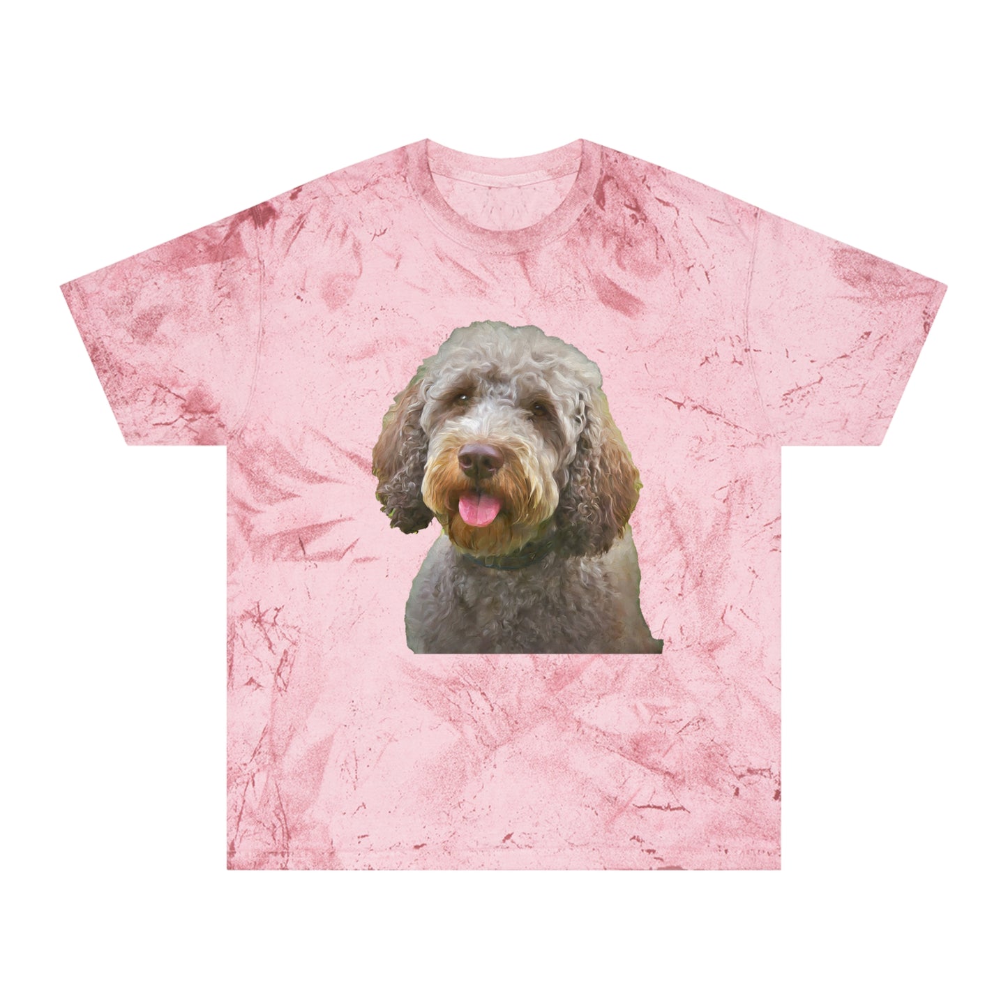 Lagotto Romagnolo 'Italian Truffle Dog' Relaxed Fit Color Blast T-Shirt
