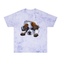 Saint Bernard 'Sontuc' Unisex Cotton  -  Color Blast T-Shirt