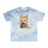 Portuguese Podengo Color Blast T-Shirt