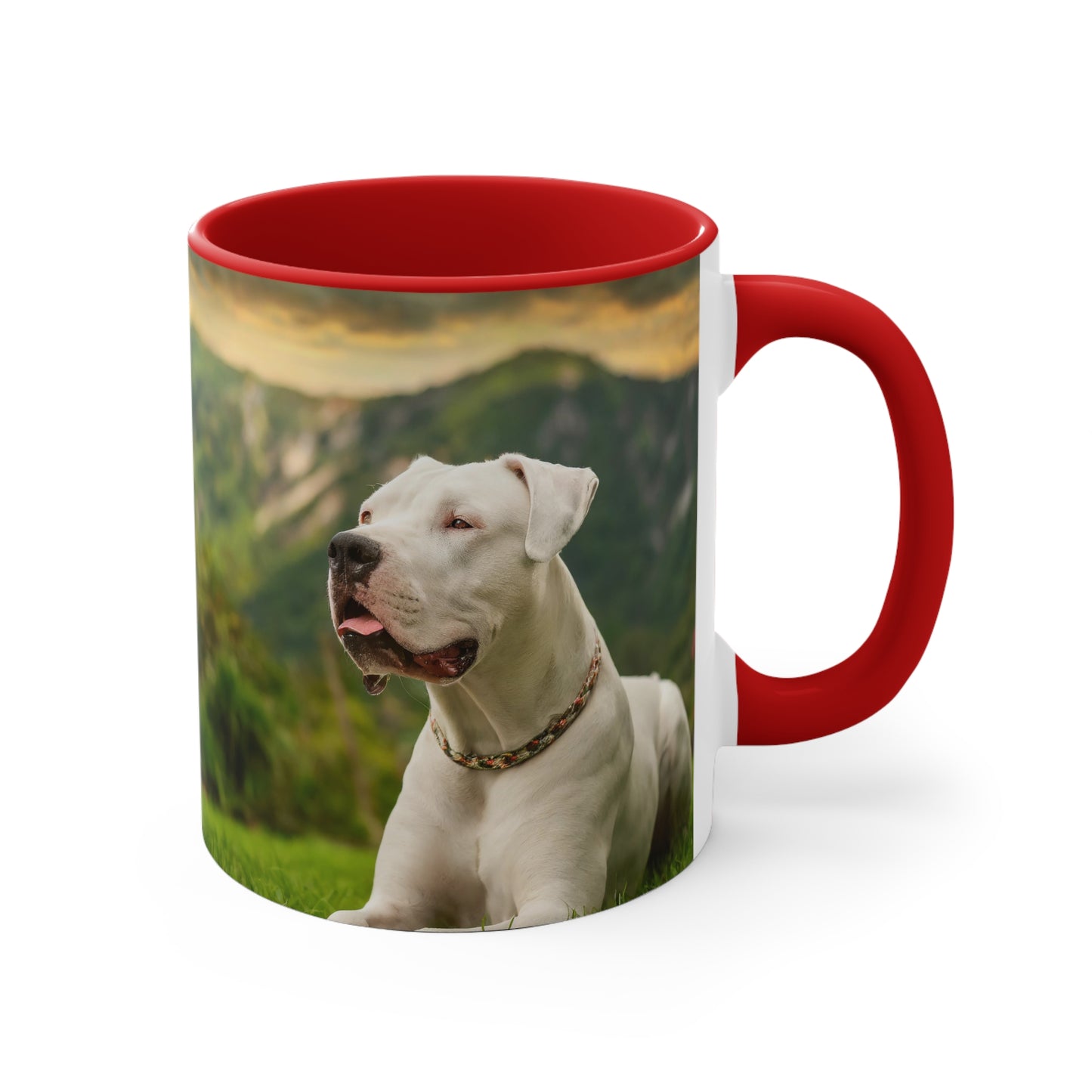 Dogo Argentino 11oz Ceramic Accent Mug