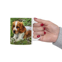 Welsh Springer Spaniel   -  Ceramic Mug 11oz
