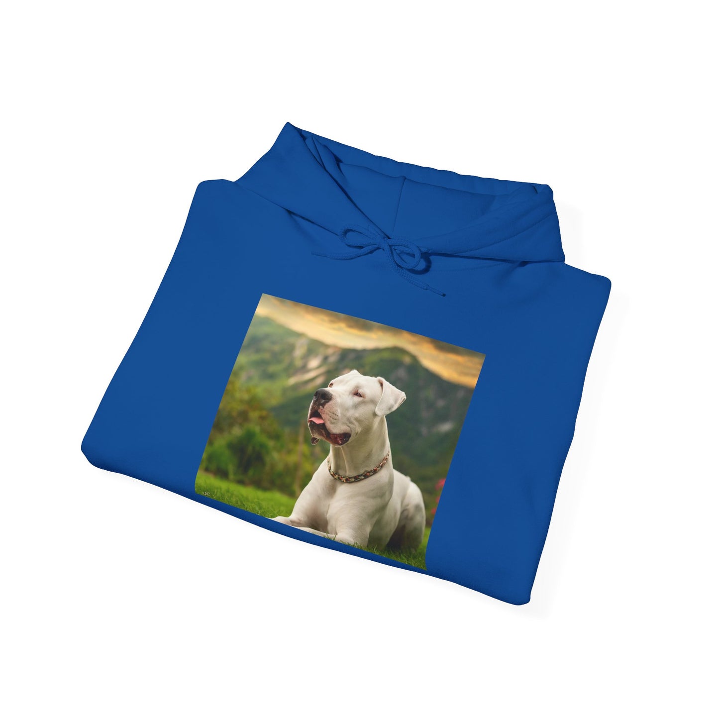 Dogo Argentino 50/50 Hooded Sweatshirt