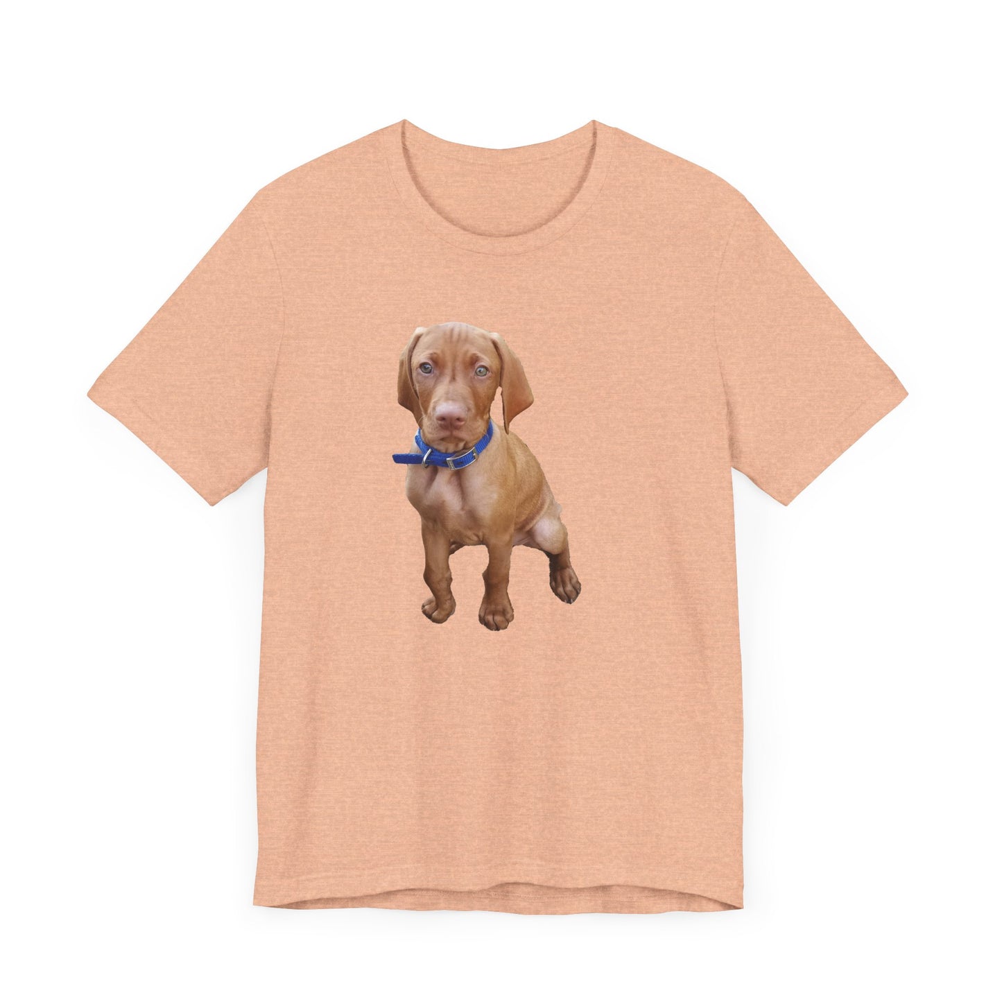 Vizsla 'Augie' Unisex Jersey Short Sleeve Tee