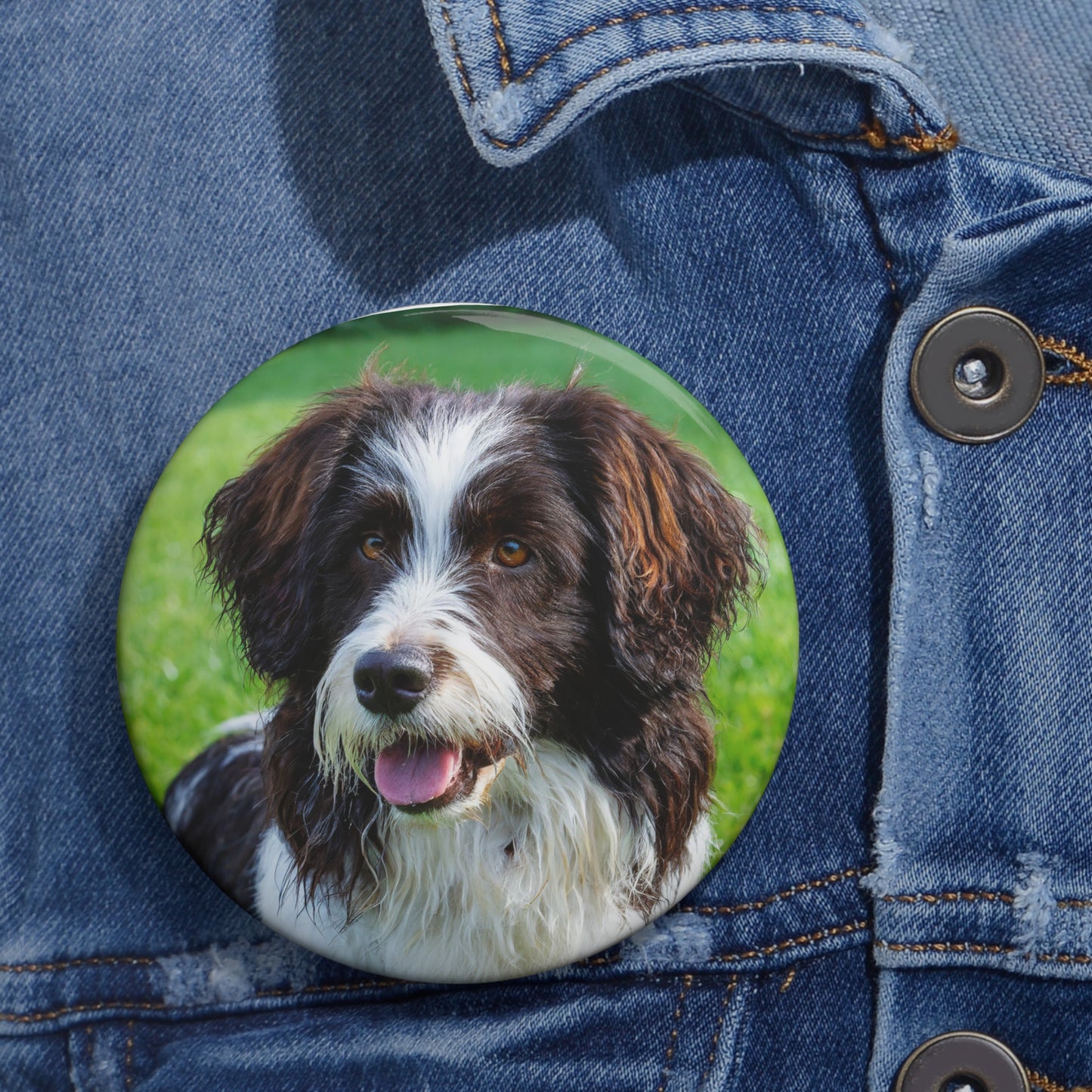 Curly-Coated Retriever Meal Pinback Button