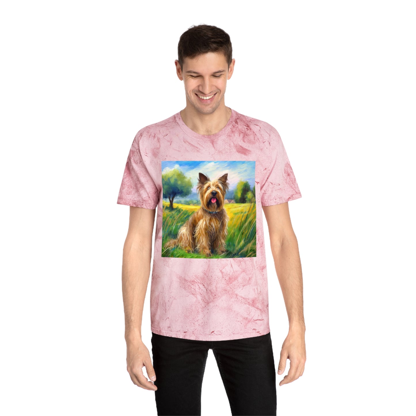 Briard Classic Color Blast T-Shirt