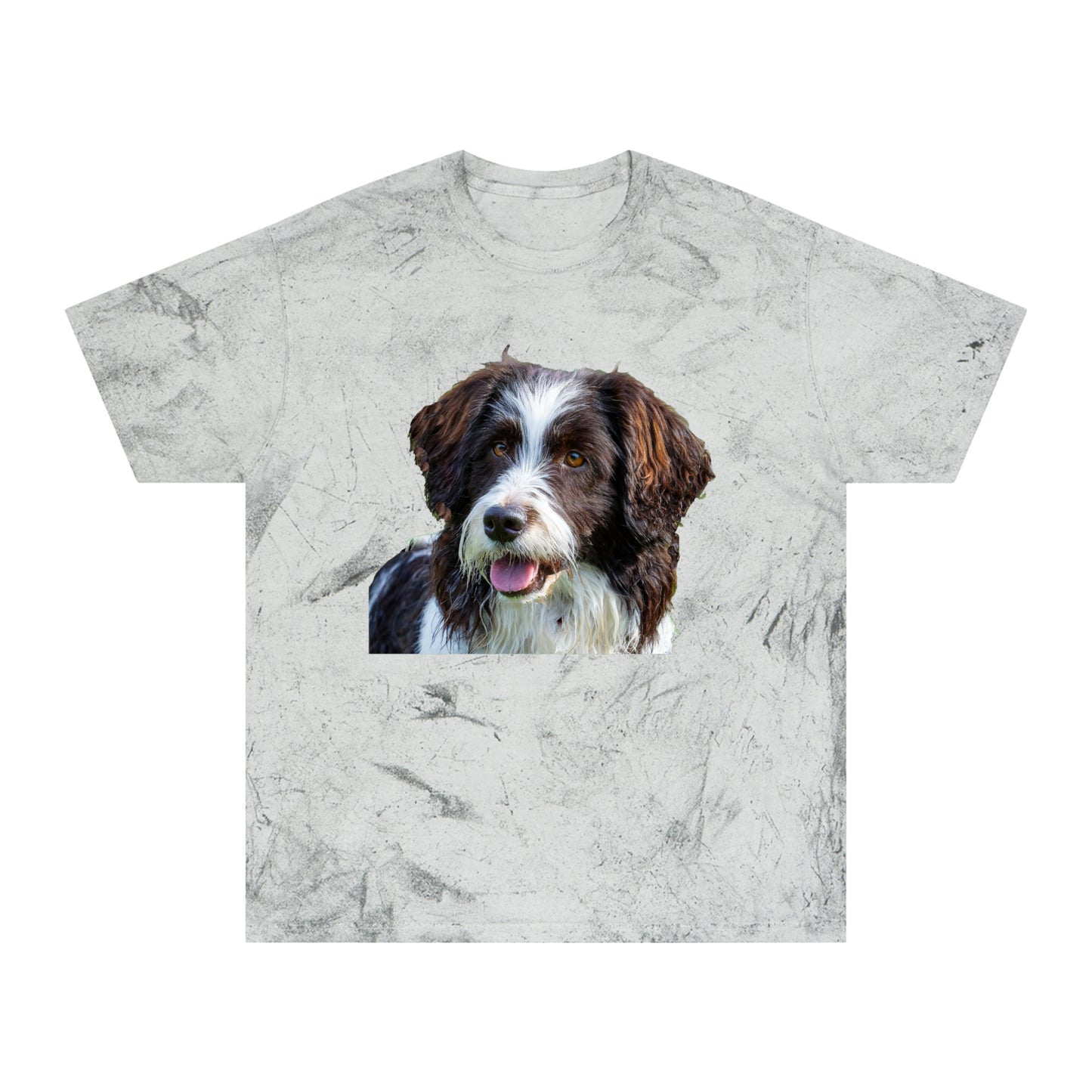 Drentsche Patrijshond Classic Color Blast T-Shirt