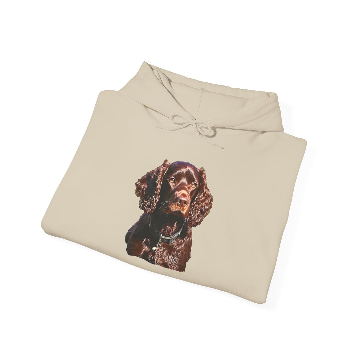 Boykin Spaniel -- Unisex 50/50 Hooded Sweatshirt