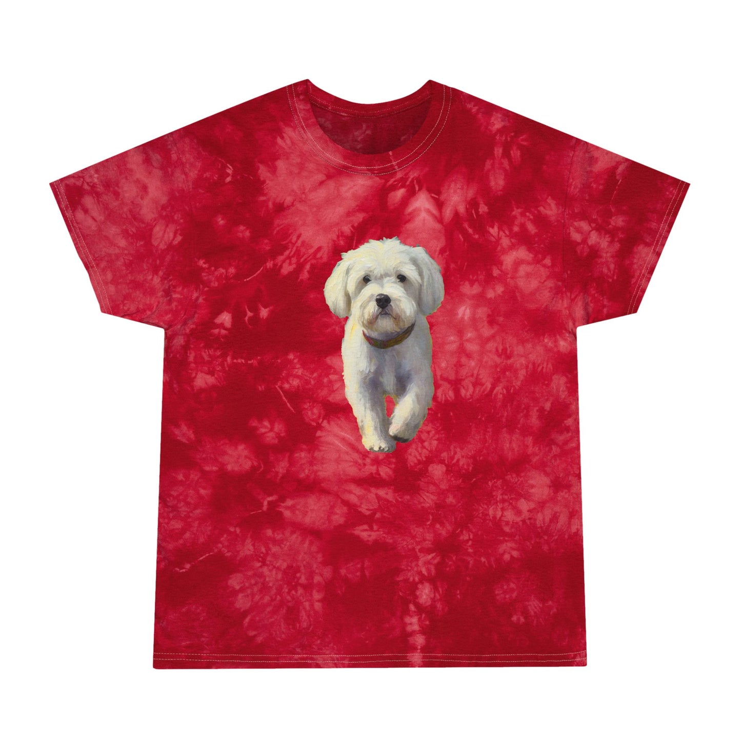 Bolognese Tie-Dye Tee in Crystal