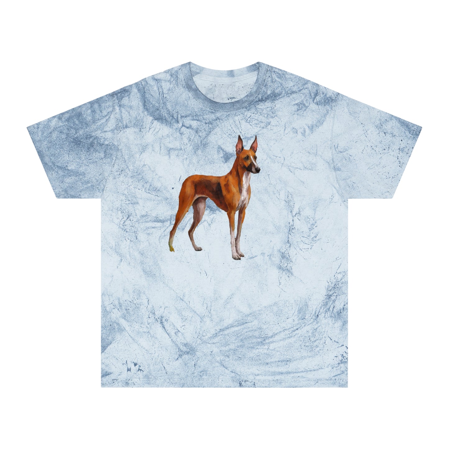 Azawakh Unisex Color Blast T-Shirt: Wear Your Art