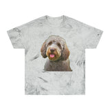Lagotto Romagnolo 'Italian Truffle Dog' Relaxed Fit Color Blast T-Shirt