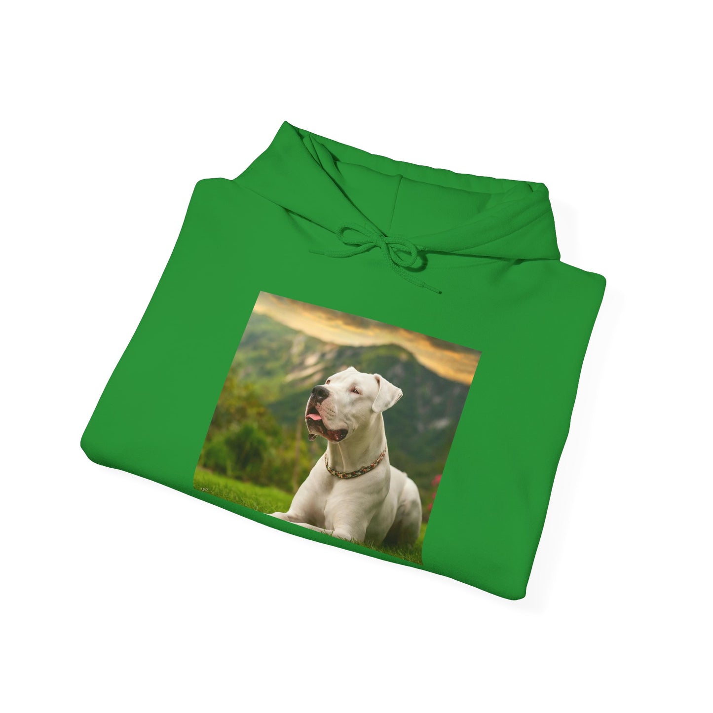Dogo Argentino 50/50 Hooded Sweatshirt