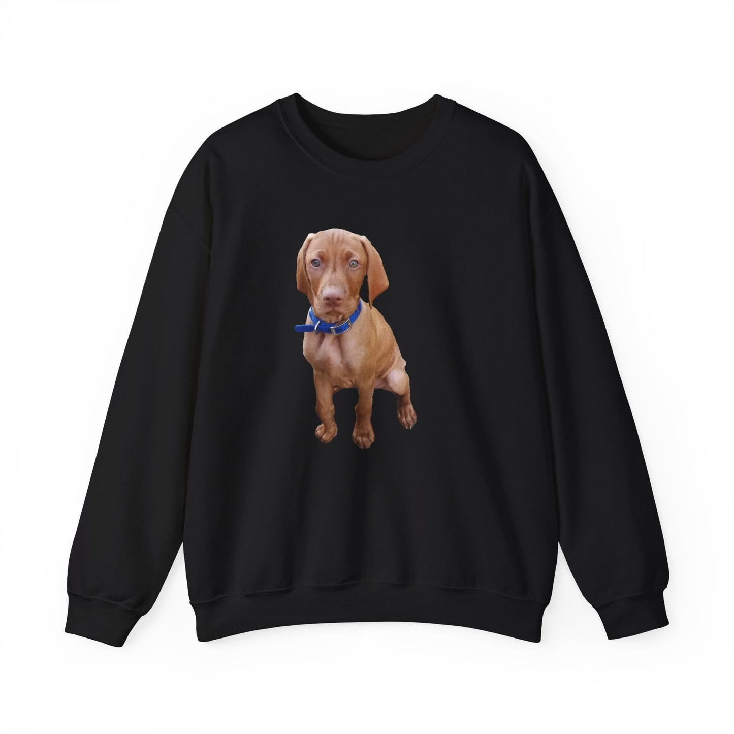 Vizsla - 'Augie' Unisex 50/50 Crewneck Sweatshirt