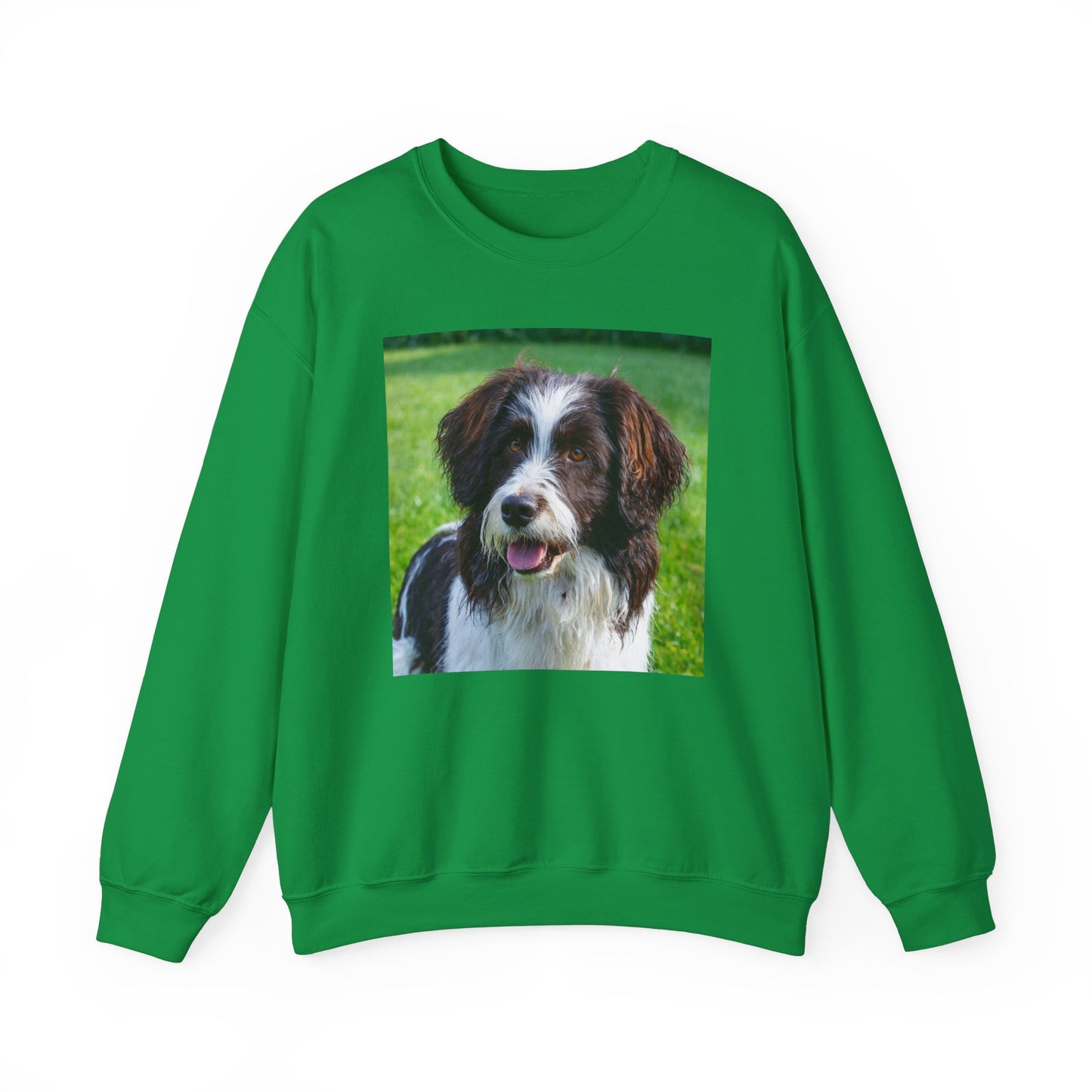 Drentsche Patrijshond Classic 50/50 Crewneck Sweatshirt