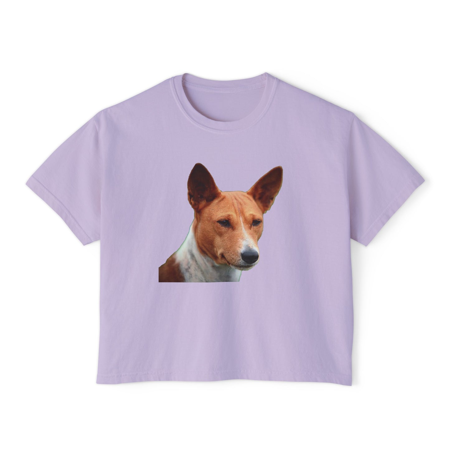 Basenji Women's Oversized Boxy Tee: A Harmony of Style and Comfort