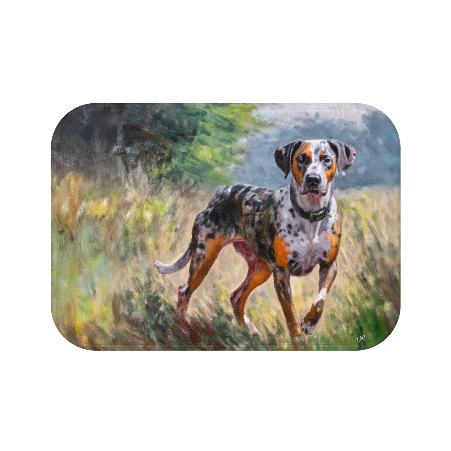 Catahoula Bathroom Rug Mat: A Stylish Retreat for Your Feet