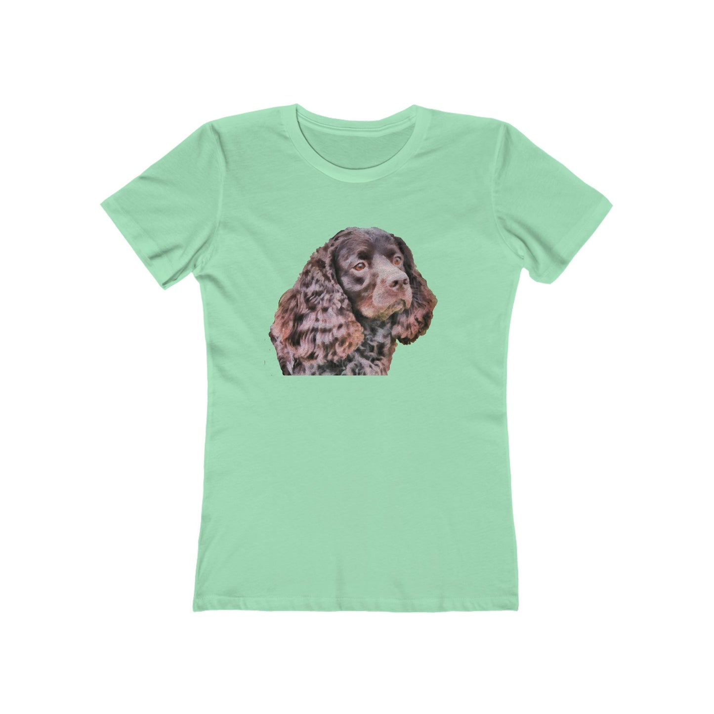 American Water Spaniel Women's Slim Fit Ringspun Cotton T-Shirt