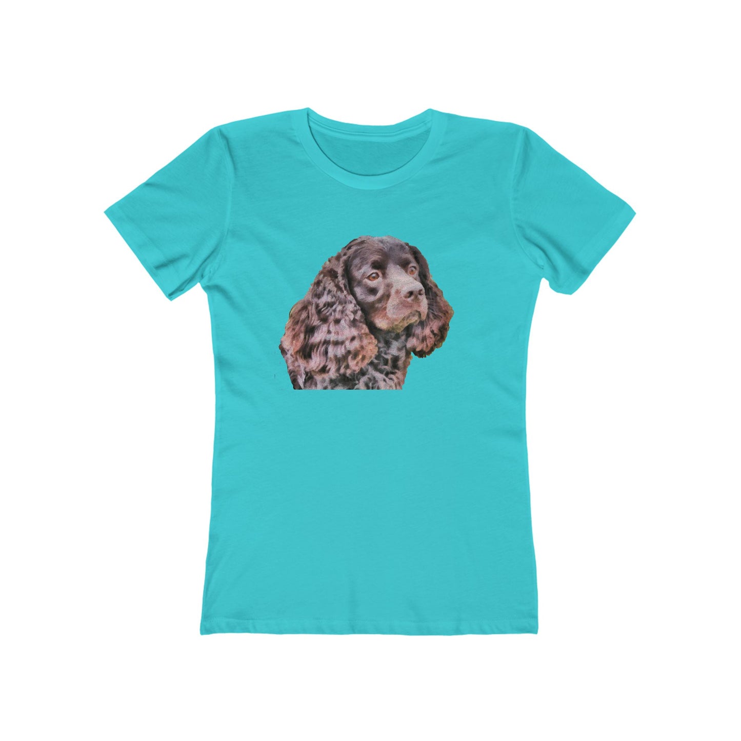 American Water Spaniel Women's Slim Fit Ringspun Cotton T-Shirt
