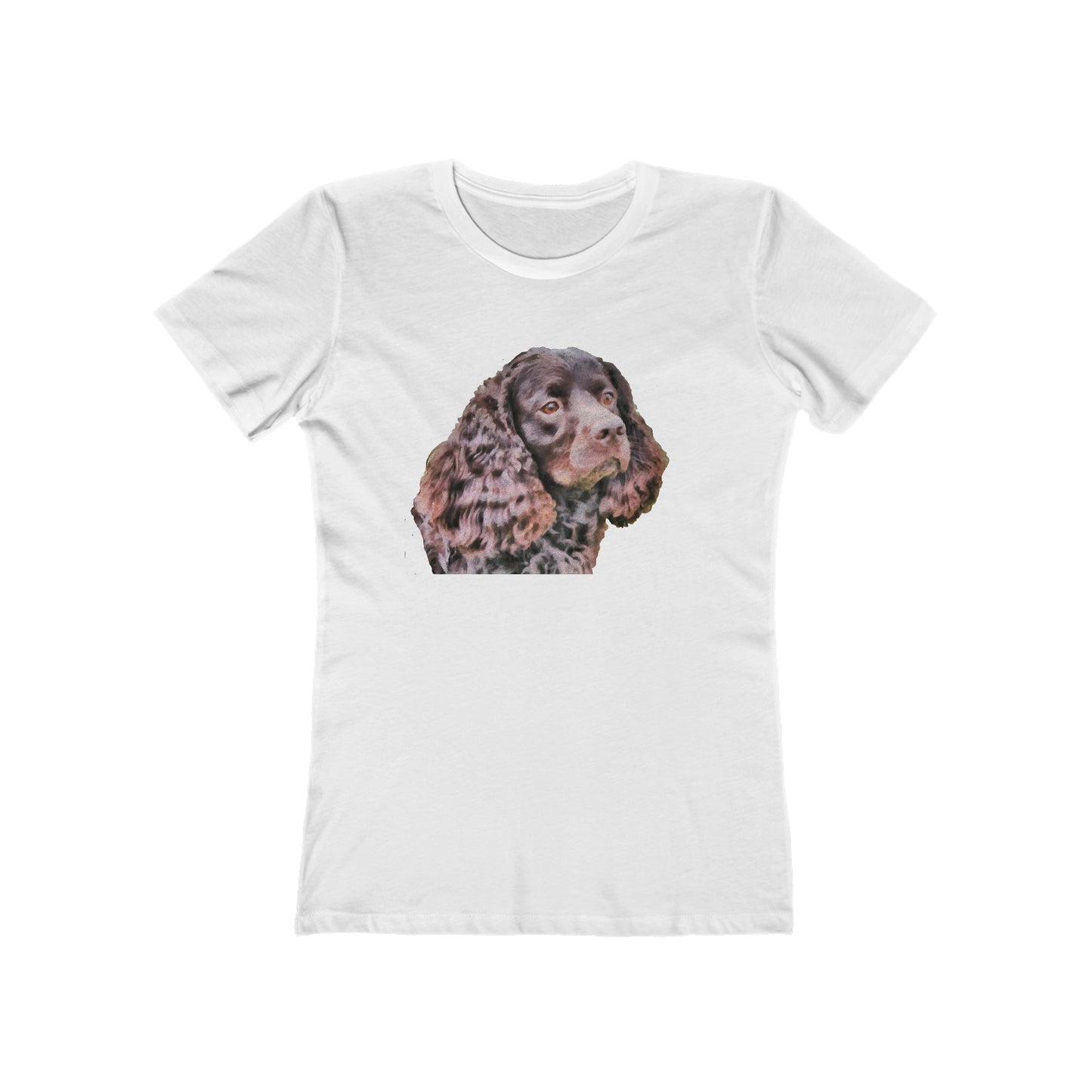 American Water Spaniel Women's Slim Fit Ringspun Cotton T-Shirt