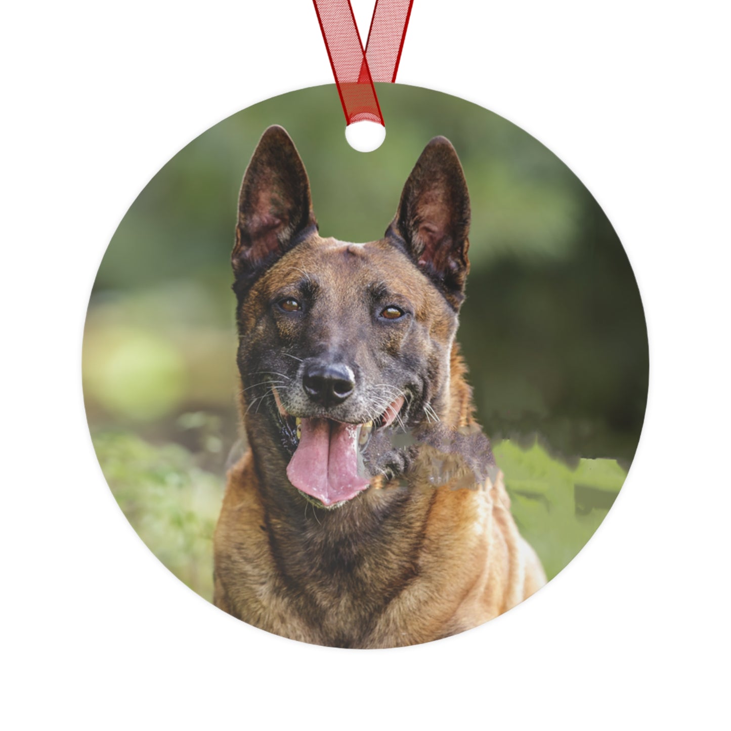 Belgian Malinois Metal Ornament: A Touch of Charm
