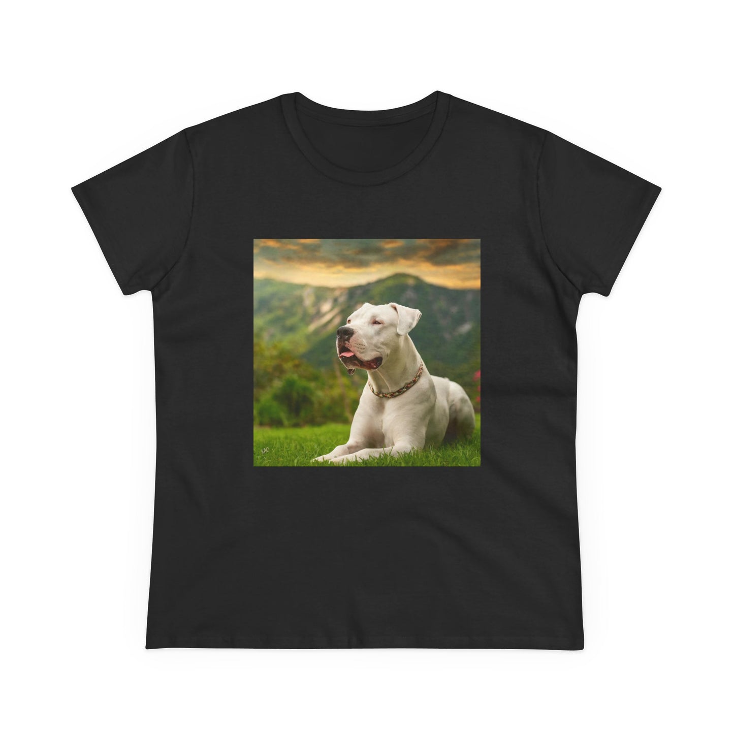 Dogo Argentino Women's Midweight Cotton Tee