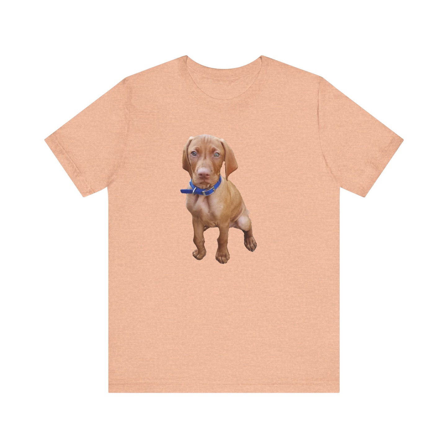 Vizsla 'Augie' Unisex Jersey Short Sleeve Tee