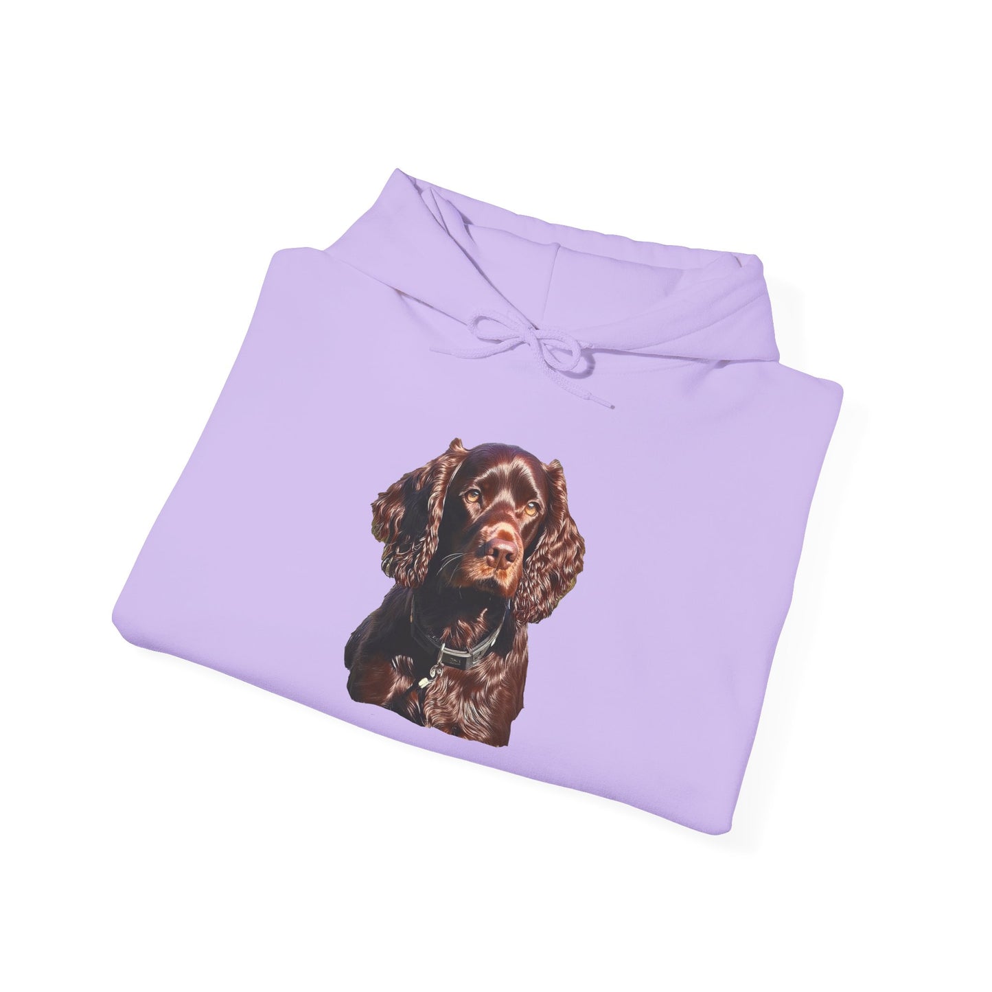Boykin Spaniel -- Unisex 50/50 Hooded Sweatshirt